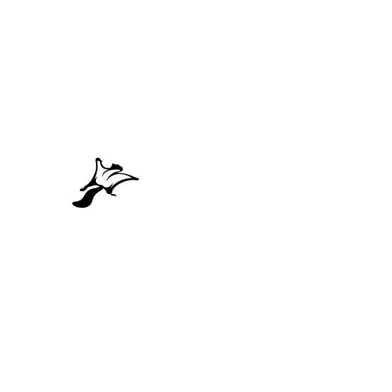 img-dDD